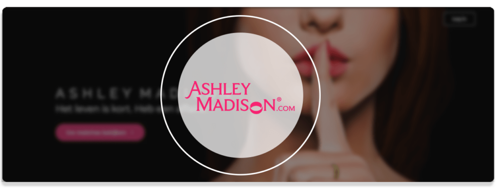 ashley madison banner